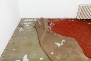 Removing Carpeting 