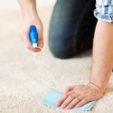 Cleaning Carpets in the Summer