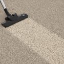 Health Effects of Dirty Carpets