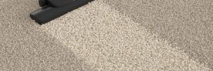 Health Effects of Dirty Carpets