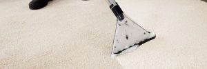 Carpet Cleaning Company