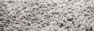 Professional Carpet Cleaners in Phoenix, AZ