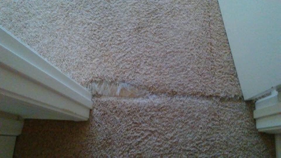 Carpet Repair Before
