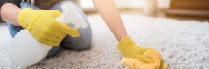 Professional Carpet Cleaners in Phoenix, AZ