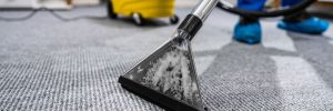 Professional Carpet Cleaning Company in Phoenix, AZ