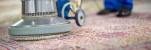 Commercial Carpet Cleaning Company in Phoenix, AZ