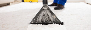 Professional Carpet Cleaning Company in Phoenix, AZ