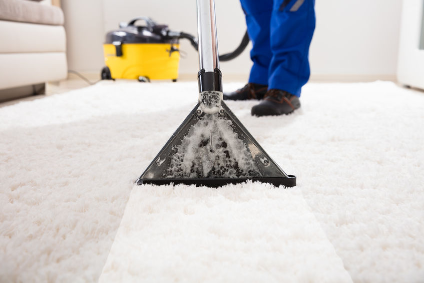 Professional Carpet Cleaning Company in Phoenix, AZ