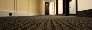 Commercial Carpet Cleaner in Phoenix, AZ