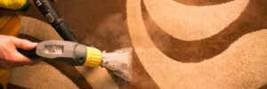 Commercial Carpet Cleaning Company in Phoenix & Peoria, AZ